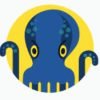 jetoctopus icon
