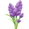 lavender icon